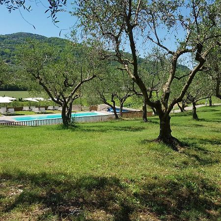 Il Vecchio Gelso - Agriturismo Rimini Montefiore Conca 빌라 외부 사진