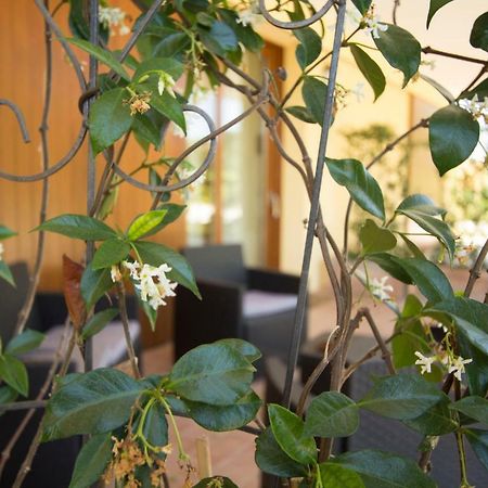 Il Vecchio Gelso - Agriturismo Rimini Montefiore Conca 빌라 외부 사진