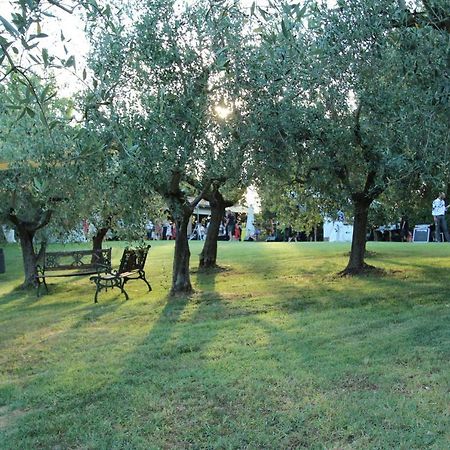 Il Vecchio Gelso - Agriturismo Rimini Montefiore Conca 빌라 외부 사진