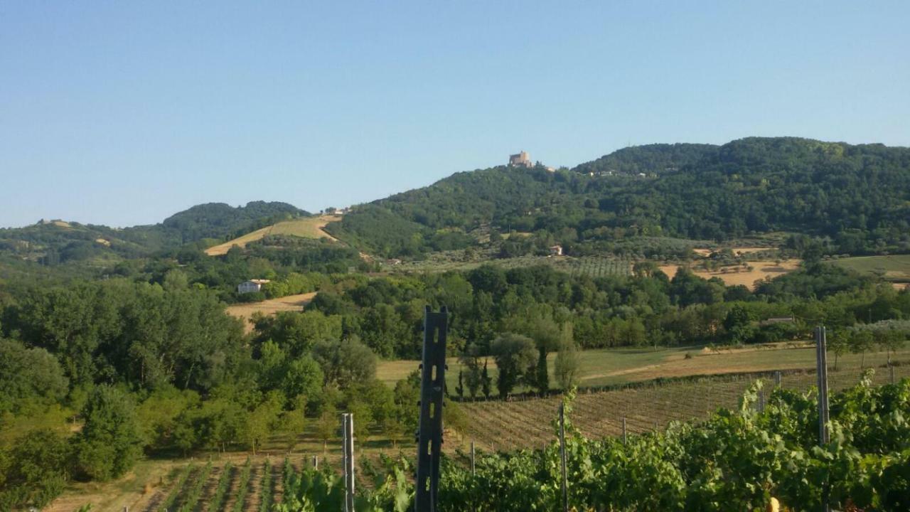 Il Vecchio Gelso - Agriturismo Rimini Montefiore Conca 빌라 외부 사진