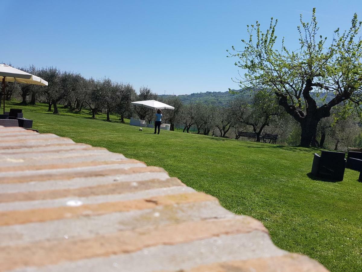 Il Vecchio Gelso - Agriturismo Rimini Montefiore Conca 빌라 외부 사진
