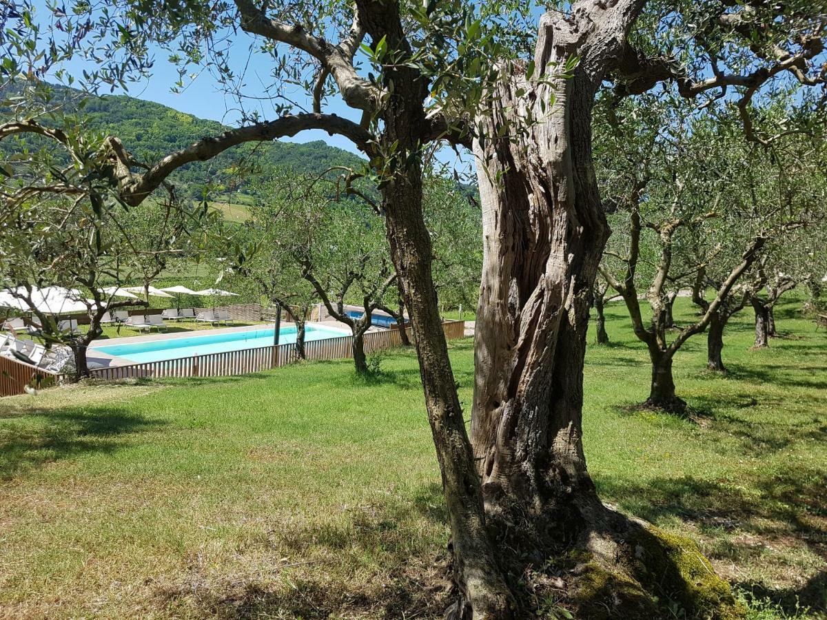 Il Vecchio Gelso - Agriturismo Rimini Montefiore Conca 빌라 외부 사진