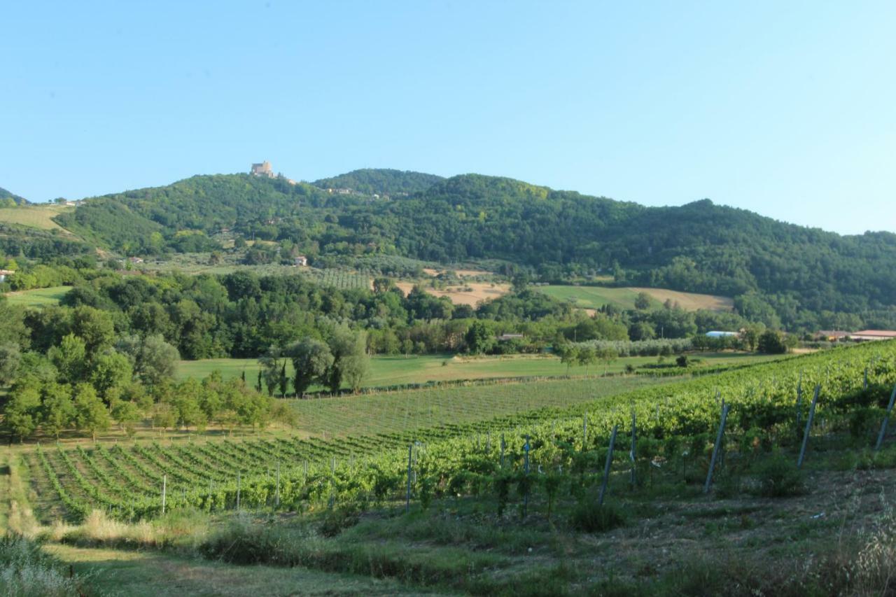 Il Vecchio Gelso - Agriturismo Rimini Montefiore Conca 빌라 외부 사진