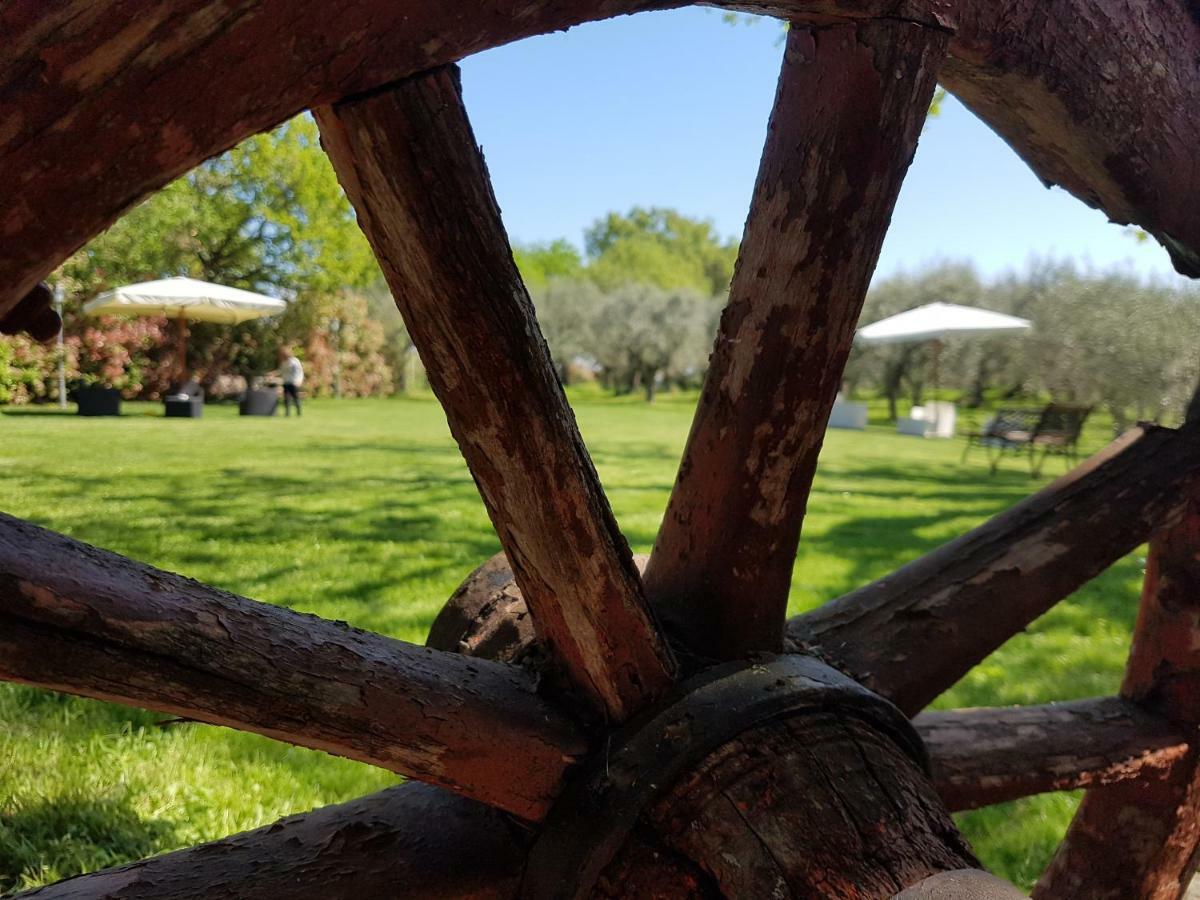 Il Vecchio Gelso - Agriturismo Rimini Montefiore Conca 빌라 외부 사진
