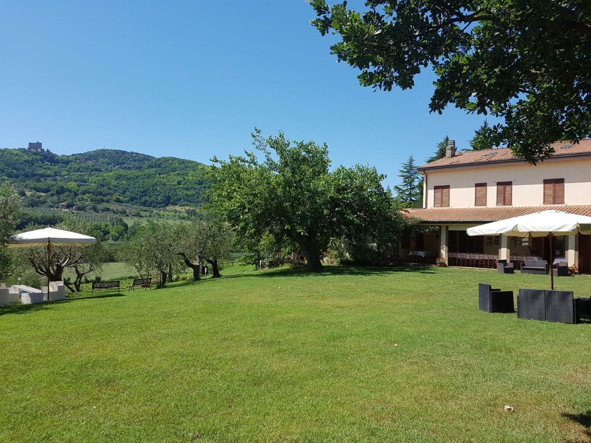 Il Vecchio Gelso - Agriturismo Rimini Montefiore Conca 빌라 외부 사진