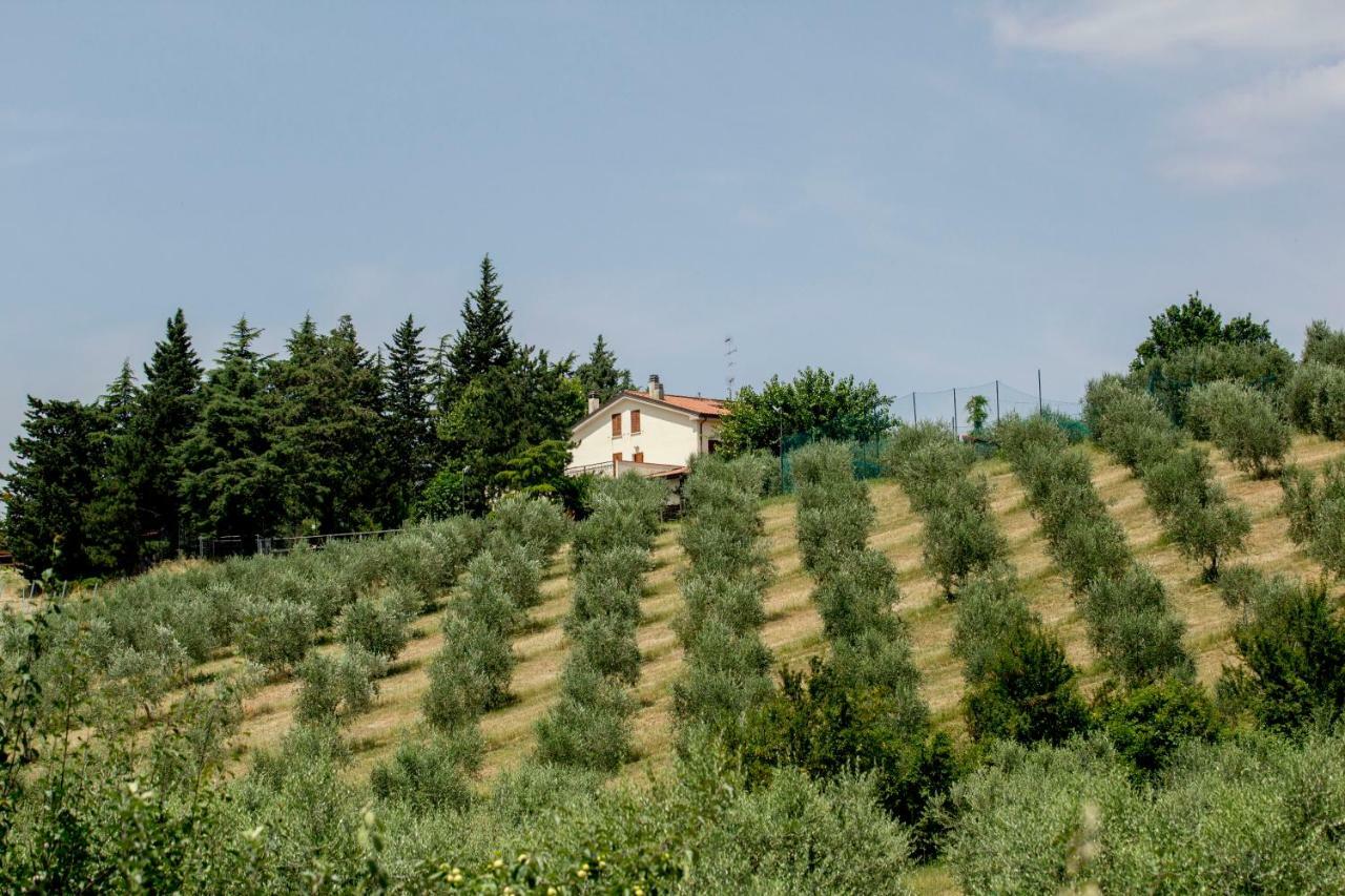 Il Vecchio Gelso - Agriturismo Rimini Montefiore Conca 빌라 외부 사진