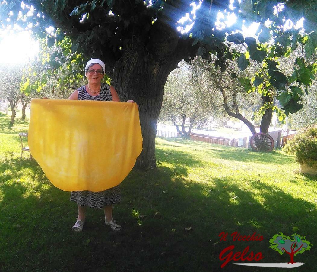 Il Vecchio Gelso - Agriturismo Rimini Montefiore Conca 빌라 외부 사진