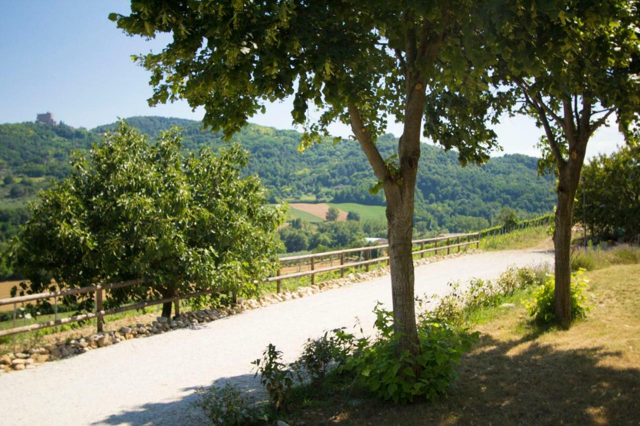 Il Vecchio Gelso - Agriturismo Rimini Montefiore Conca 빌라 외부 사진