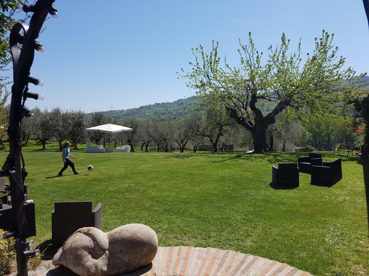 Il Vecchio Gelso - Agriturismo Rimini Montefiore Conca 빌라 외부 사진