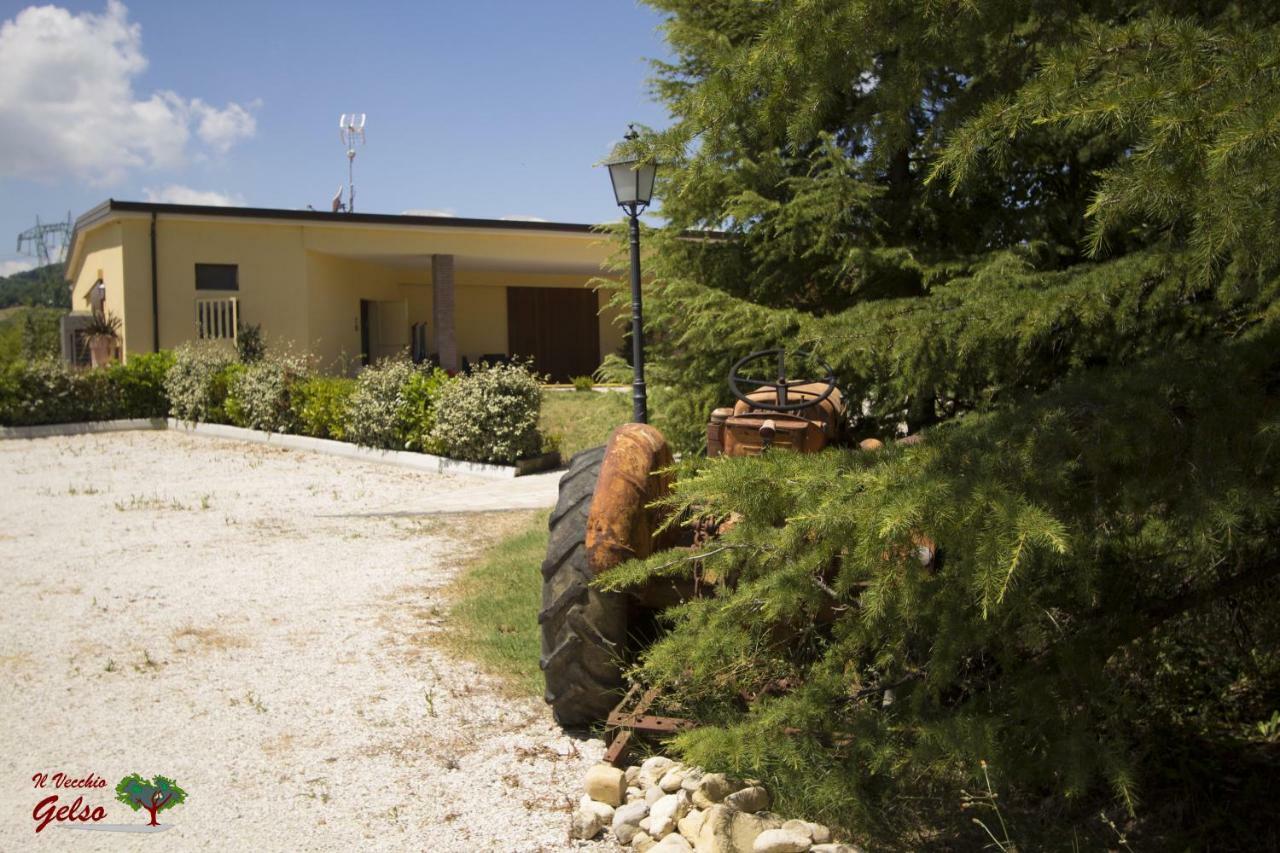 Il Vecchio Gelso - Agriturismo Rimini Montefiore Conca 빌라 외부 사진