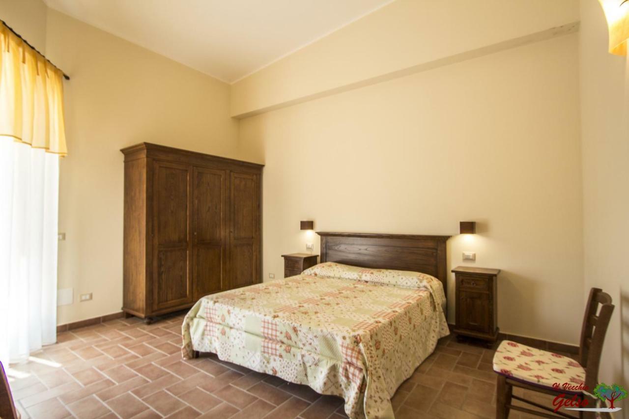 Il Vecchio Gelso - Agriturismo Rimini Montefiore Conca 빌라 외부 사진