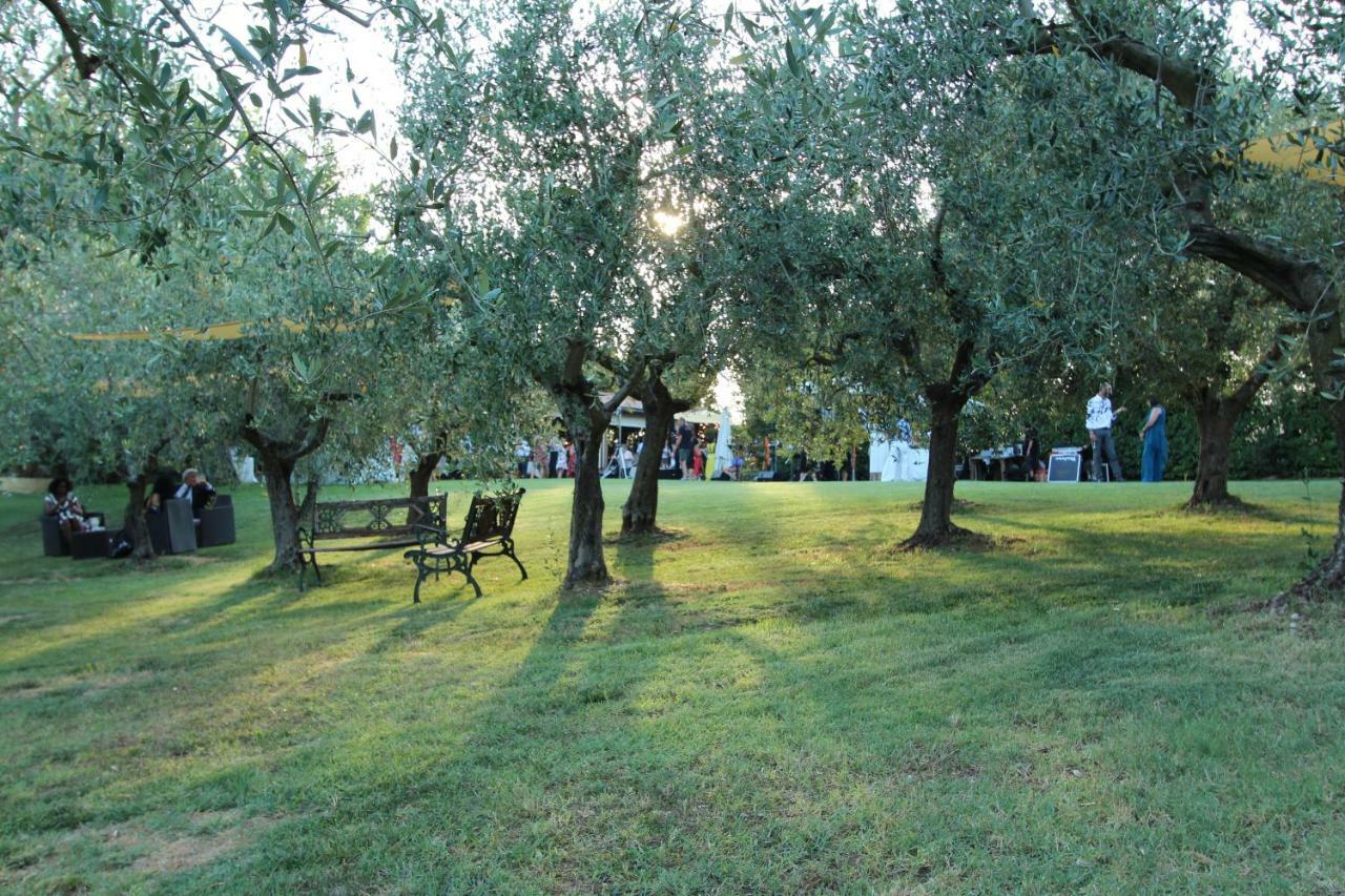 Il Vecchio Gelso - Agriturismo Rimini Montefiore Conca 빌라 외부 사진