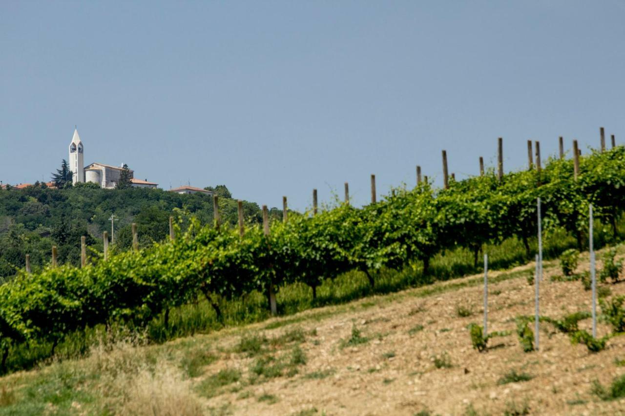 Il Vecchio Gelso - Agriturismo Rimini Montefiore Conca 빌라 외부 사진