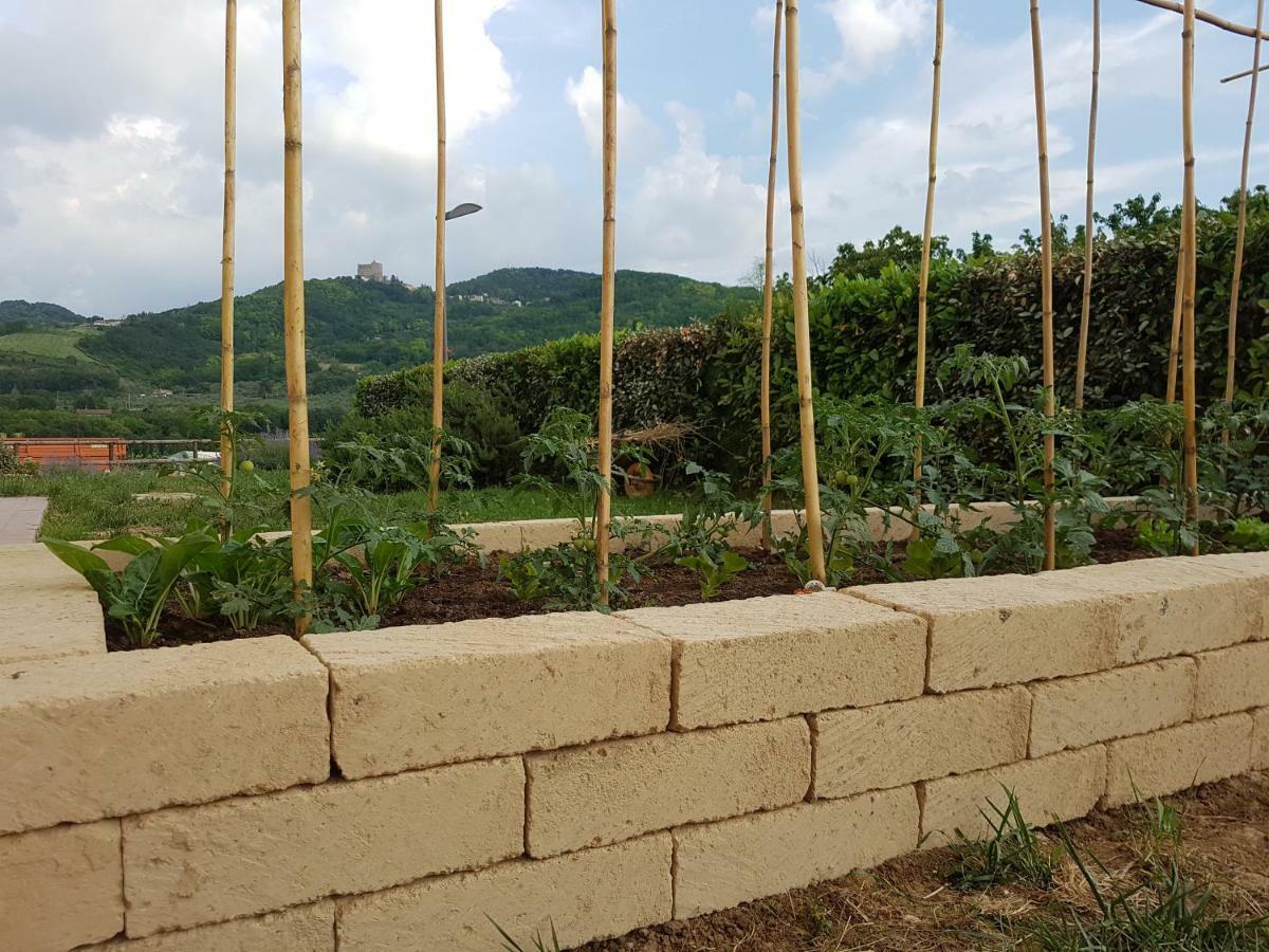 Il Vecchio Gelso - Agriturismo Rimini Montefiore Conca 빌라 외부 사진