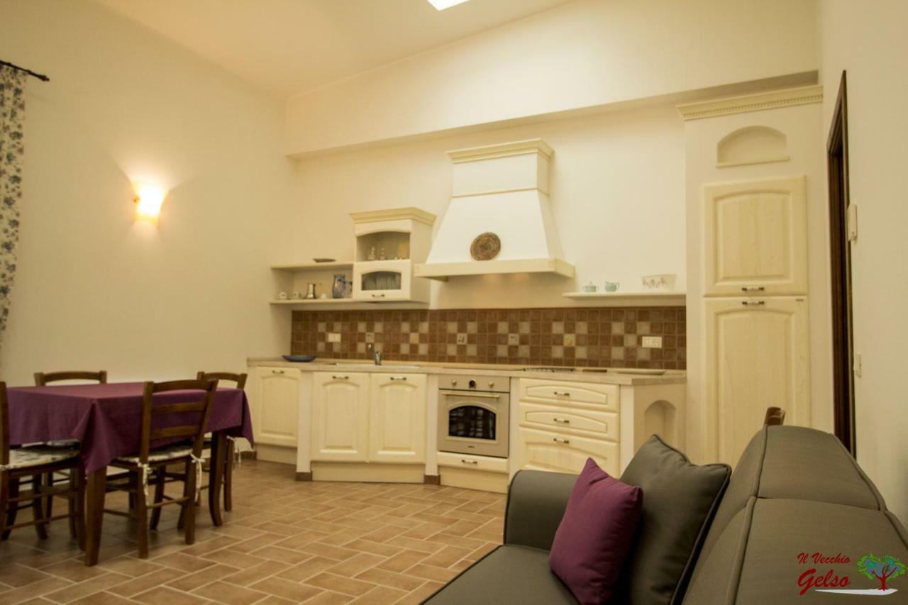 Il Vecchio Gelso - Agriturismo Rimini Montefiore Conca 빌라 외부 사진