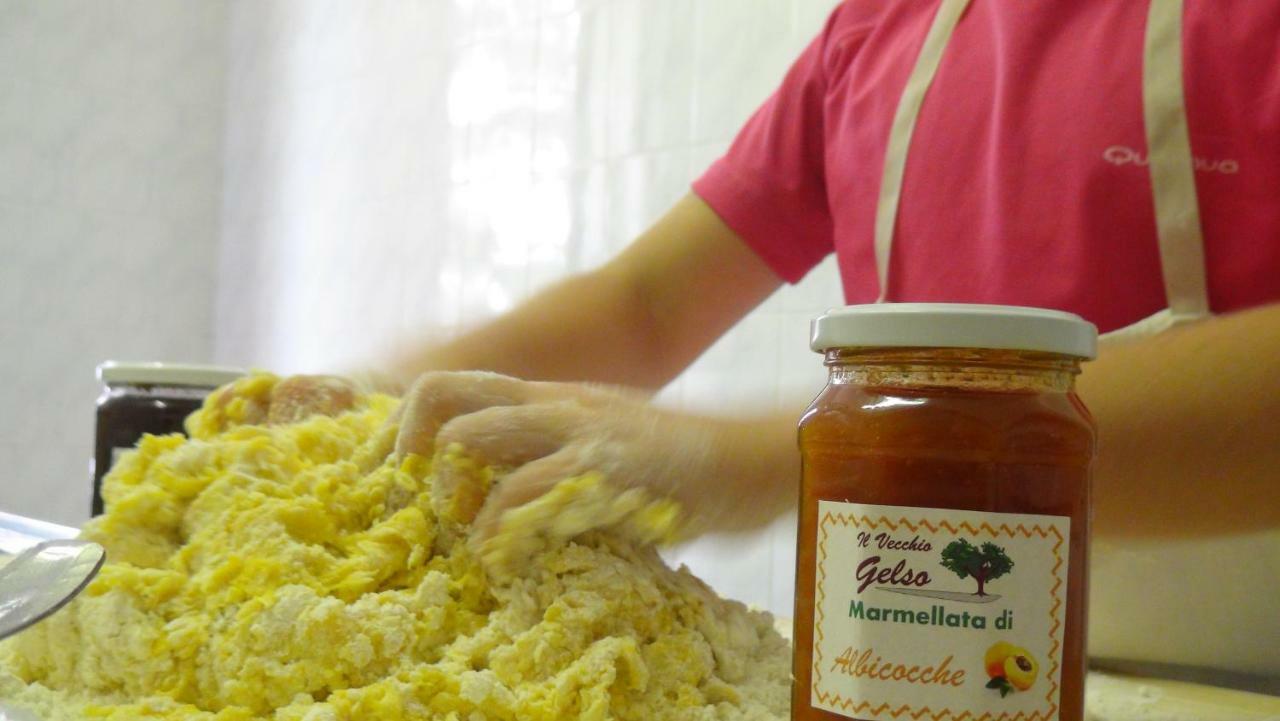 Il Vecchio Gelso - Agriturismo Rimini Montefiore Conca 빌라 외부 사진